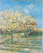 Flowering orchard Vincent Van Gogh